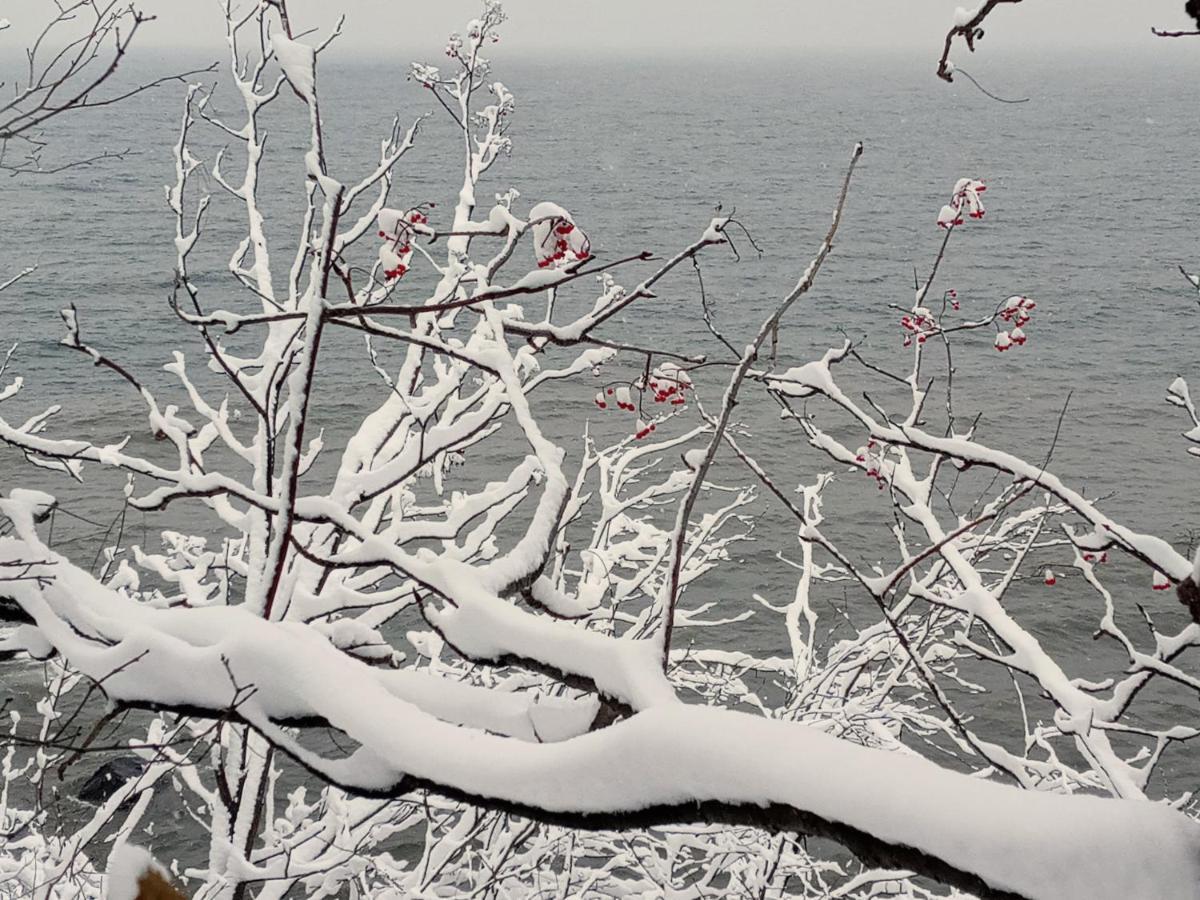 Cliff Dweller On Lake Superior Tofte Εξωτερικό φωτογραφία